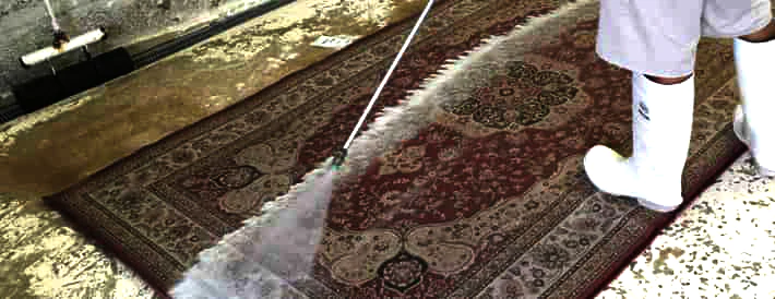 Rug Cleaning Process Wellington